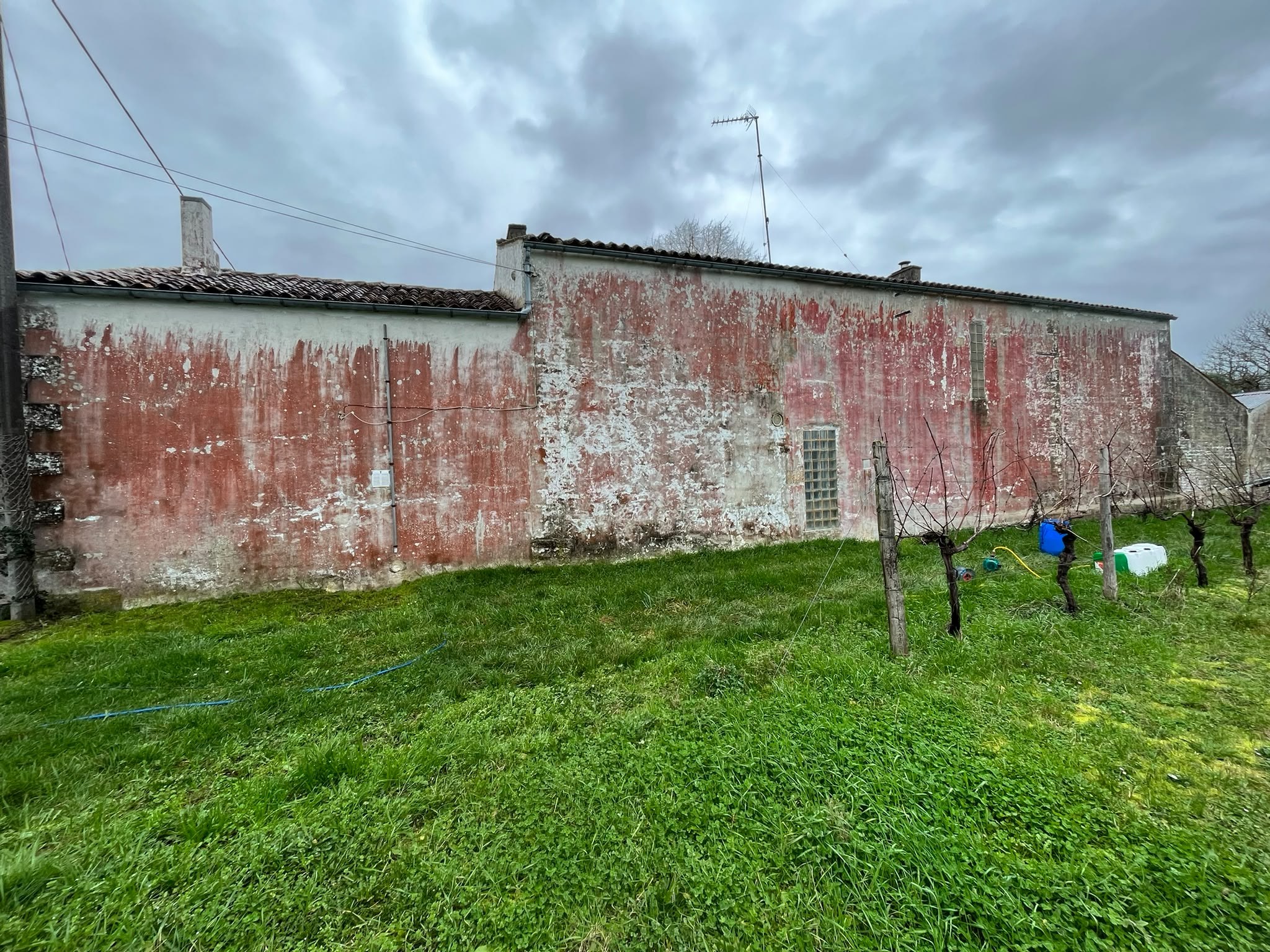 Mur de clôture couvert de mousses avant nettoyage à Royan